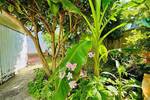Charmantes Einfamilienhaus, 92 qm WFL mit toller Aufteilung + Garten in begehrter Lage in Bonn-Beuel