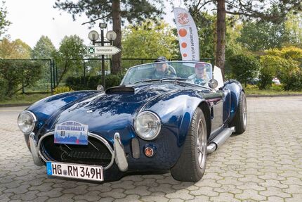 Cobra Andere 10.100 km 49.000 &euro; Bad Homburg 61350