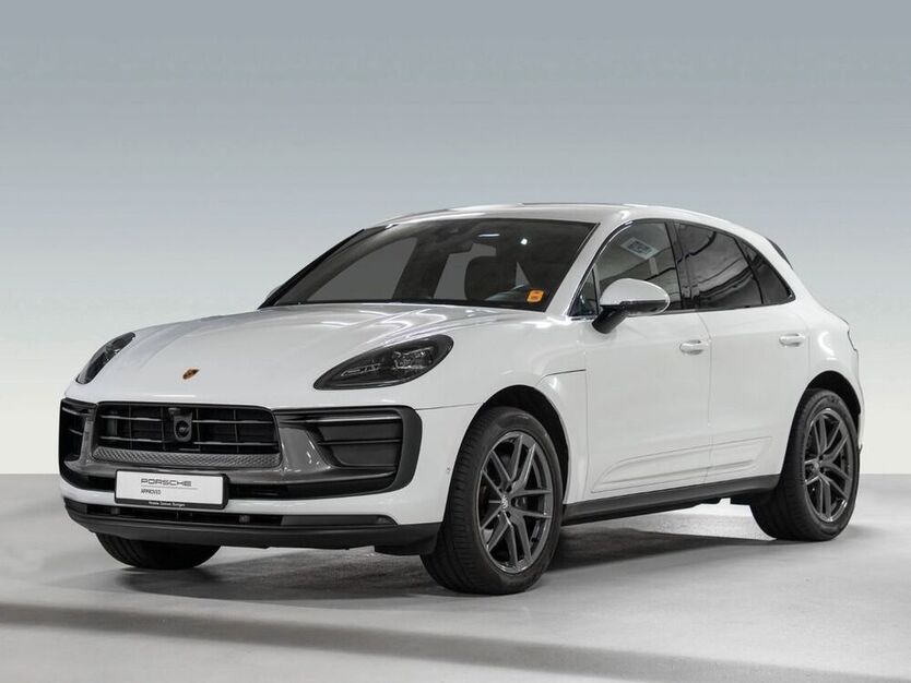 Macan