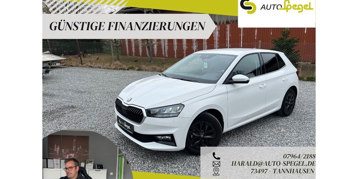 Skoda Fabia 18.557 km 16.390 &euro; Tannhausen 73497