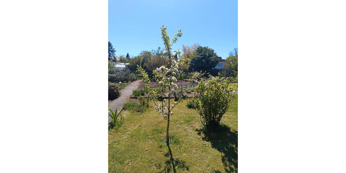 Grundstück Pirna - 3.200&euro; | Angebot:26382414