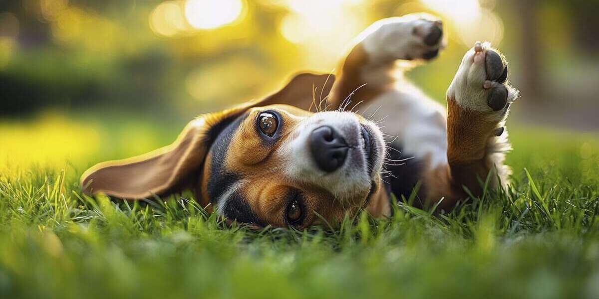 Grundstück zu verkaufen in Maisach 736.000 € 591 m² zimmer