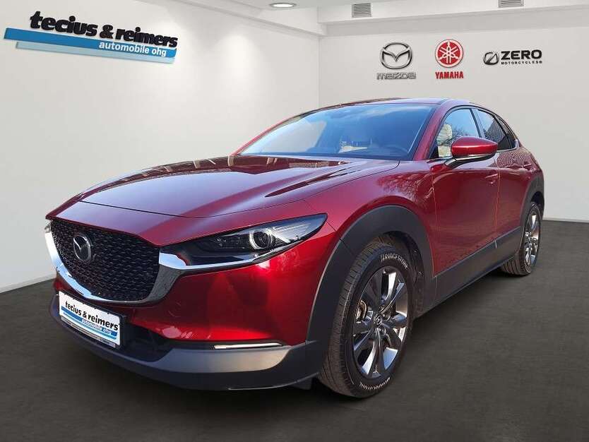 CX-30