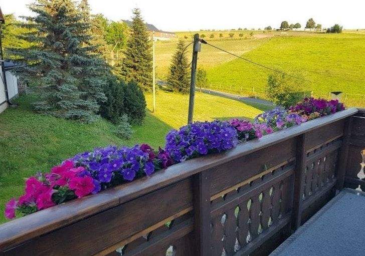 Familienglück im Grünen-Landidylle trifft Stadtnähe! 4 zimmer