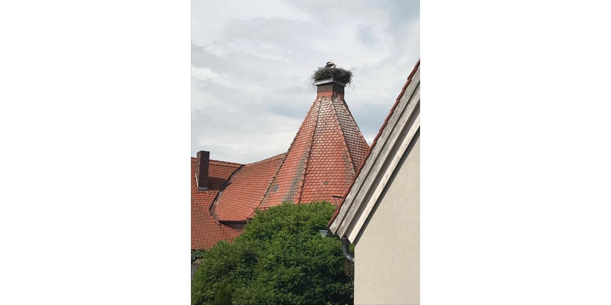 Einfamilienhaus Gunzenhausen - 5 Zimmer, 125 m&sup2;, 1.150&euro; | Angebot:26142214