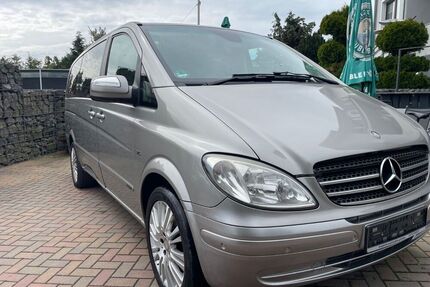 Mercedes Viano