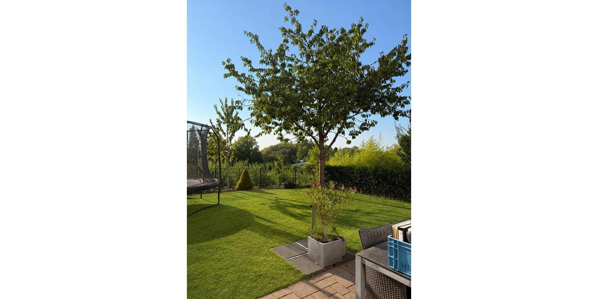 Doppelhaushälfte Aachen Aachen-Mitte - 6 Zimmer, 175 m&sup2;, 1.095.000&euro; | Angebot:27300077
