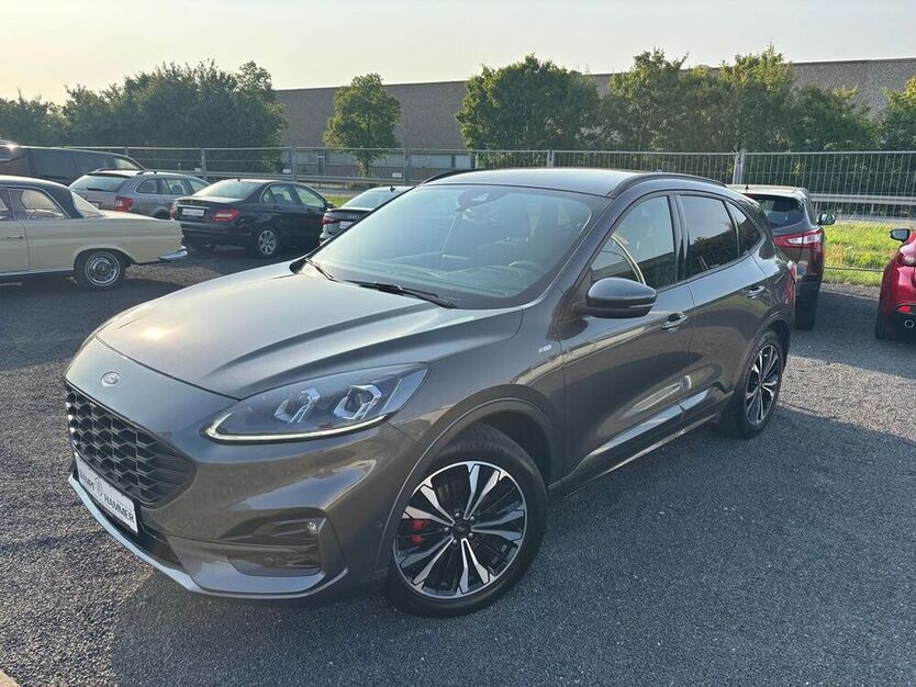 Kuga
