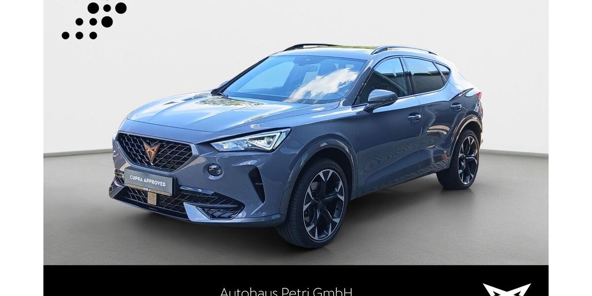 Cupra Formentor 68.667 km 27.930 &euro; Hofheim-Diedenbergen 65719