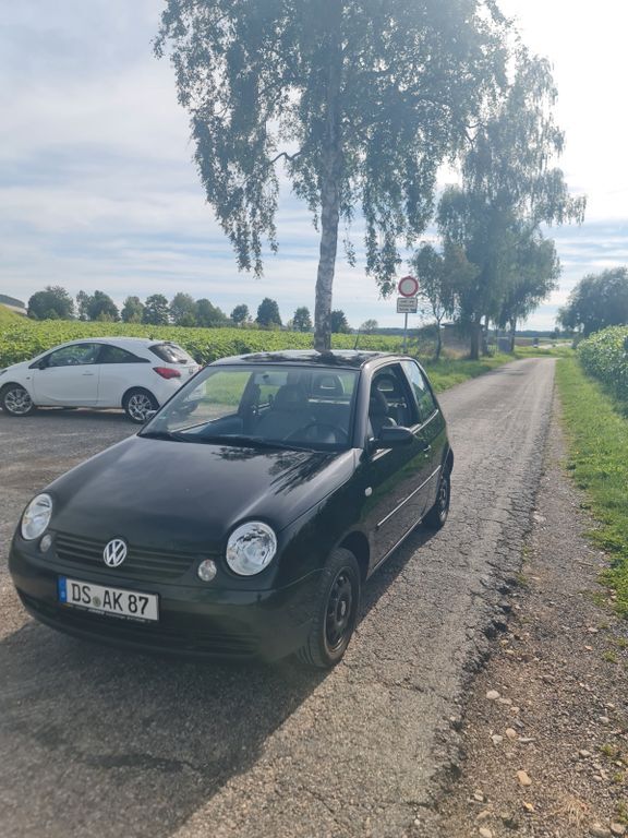 Lupo