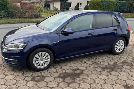 VW Golf 260.000 km 8.700 &euro; Stelle 21435