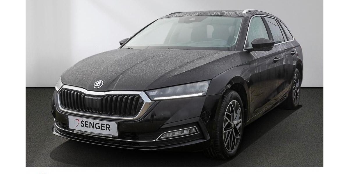 Skoda Octavia 122.850 km 21.380 &euro; Bad Segeberg 23795