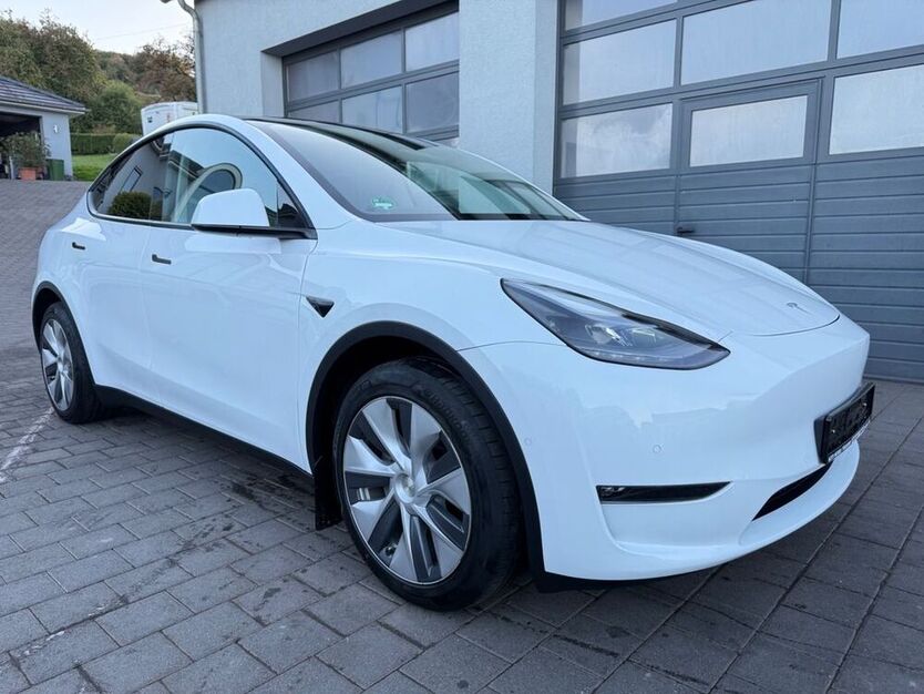 Model Y