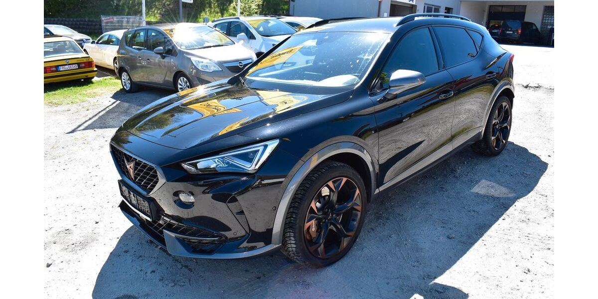 Cupra Formentor 89.500 km 25.700 &euro; Schönberg 94513