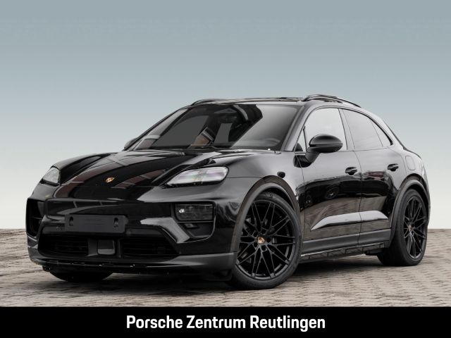 Macan