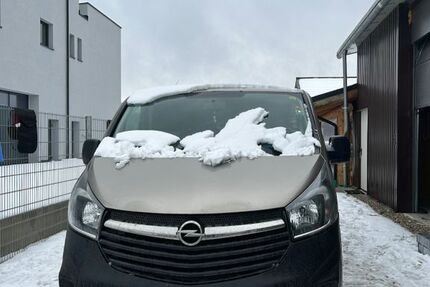 Opel Vivaro 250.000 km 12.500 &euro; Stammham 85134