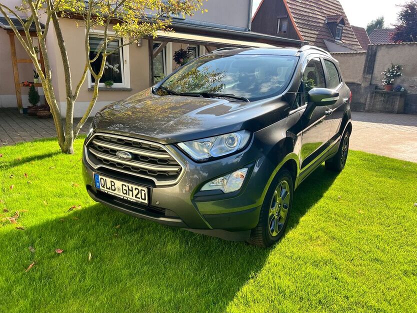 Ford EcoSport 77.890 km 8.999 € Stadt Falkenstein/Harz 06543