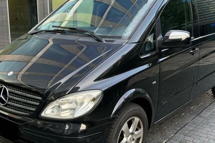 Mercedes Viano