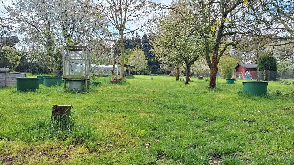 Einfamilienhaus Naumburg (Saale) - 9 Zimmer, 170 m&sup2;, 260.000&euro; | Angebot:26630153