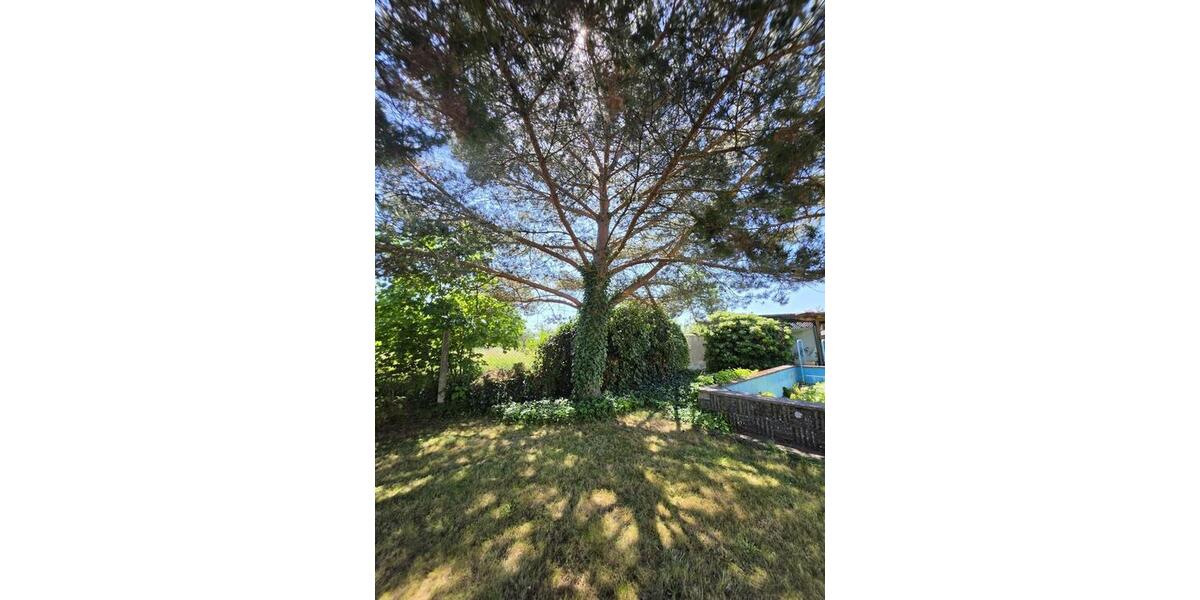 Einfamilienhaus Zahna-Elster Elster - 4 Zimmer, 100 m&sup2;, 195.000&euro; | Angebot:26888688