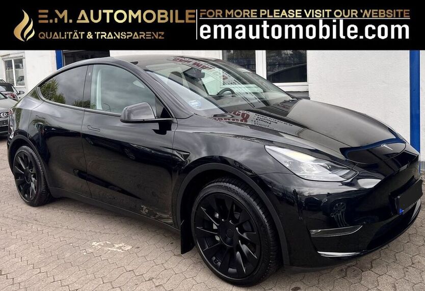 Model Y