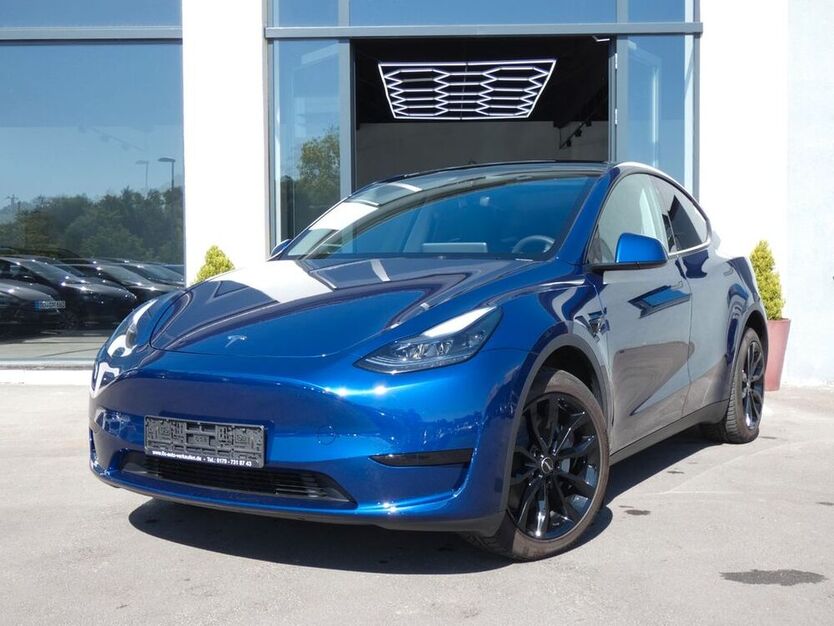 Model Y