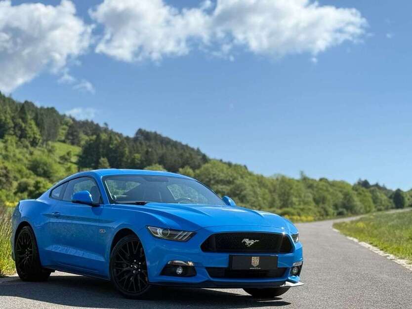 Mustang
