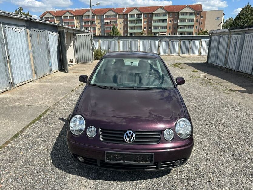 Polo