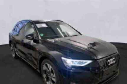 Audi e-tron 53.017 km 33.930 &euro; Hof 95030