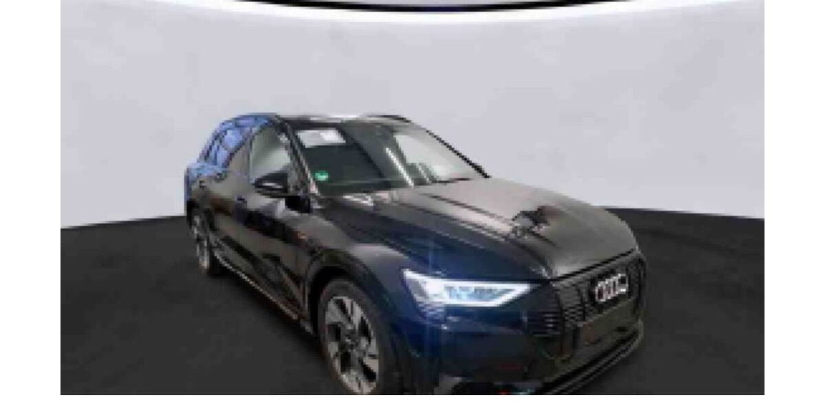 Audi e-tron 53.017 km 33.930 &euro; Hof 95030
