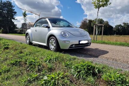 VW Beetle