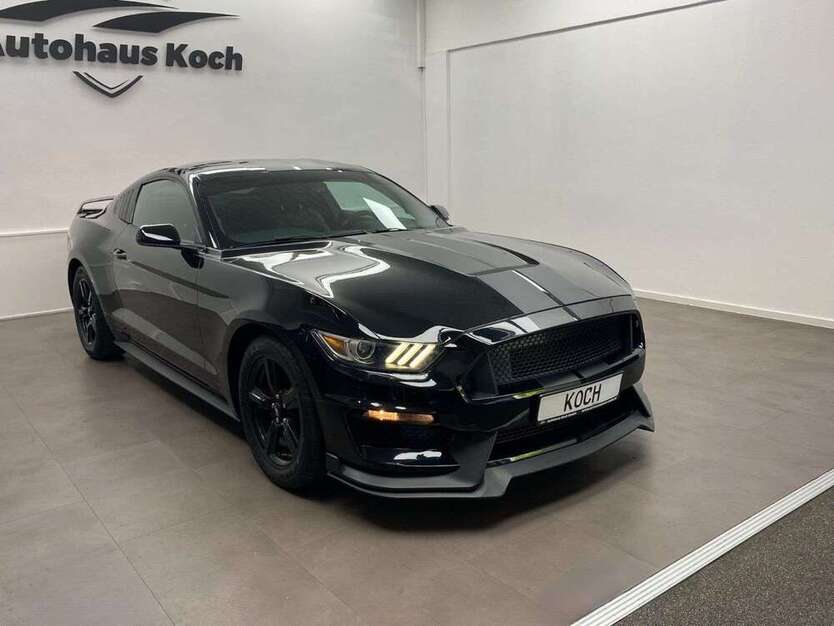 Mustang
