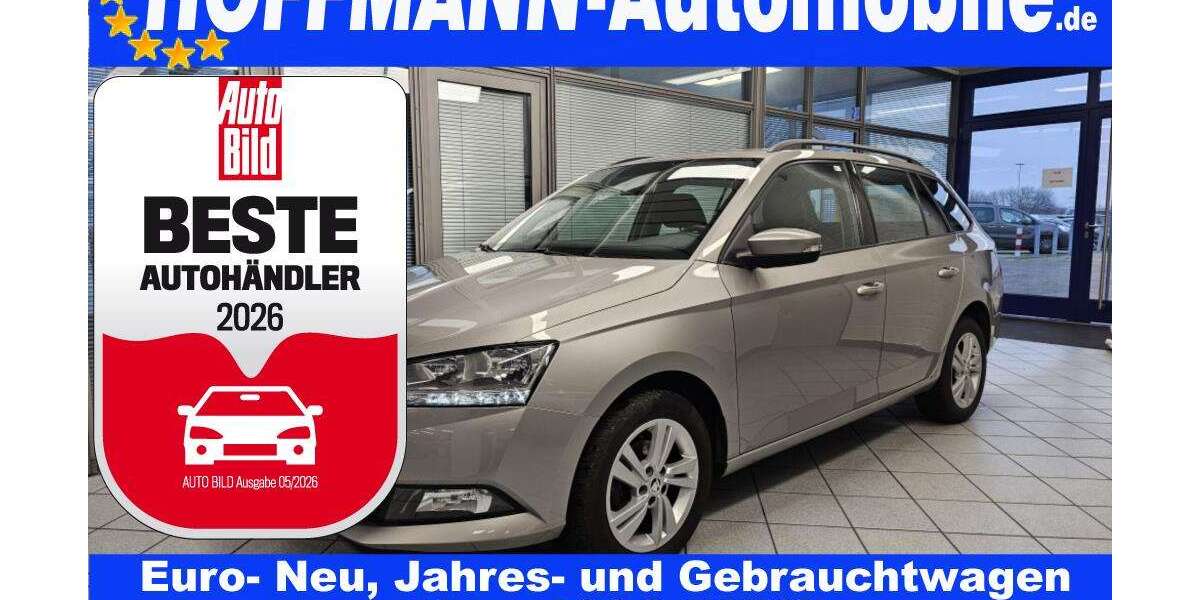 Skoda Fabia 123.062 km 9.950 &euro; Wolfsburg Heiligendorf 38444