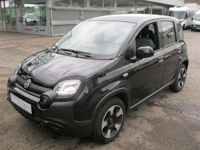 Panda