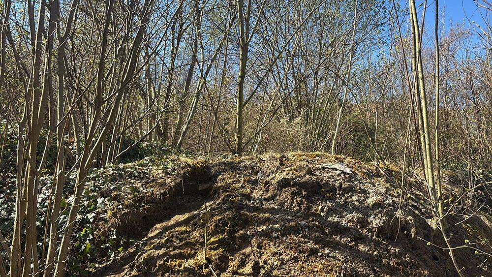 Grundstück Naumburg (Saale) Naumburg - 300.000&euro; | Angebot:26310461