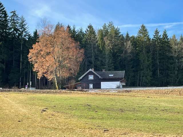 Einfamilienhaus Regen - 6 Zimmer, 130 m&sup2;, 260.000&euro; | Angebot:25282458