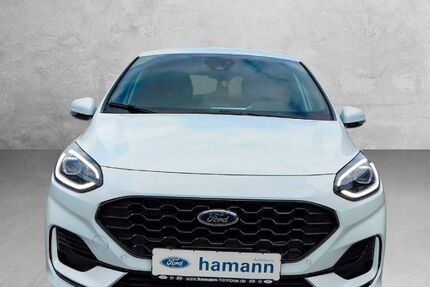 Ford Fiesta 2.500 km 24.290 € Hannover 30453