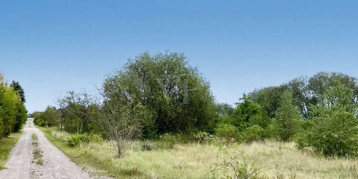 Grundstück Suhlendorf / Wellendorf Wellendorf - 36.000&euro; | Angebot:22546487