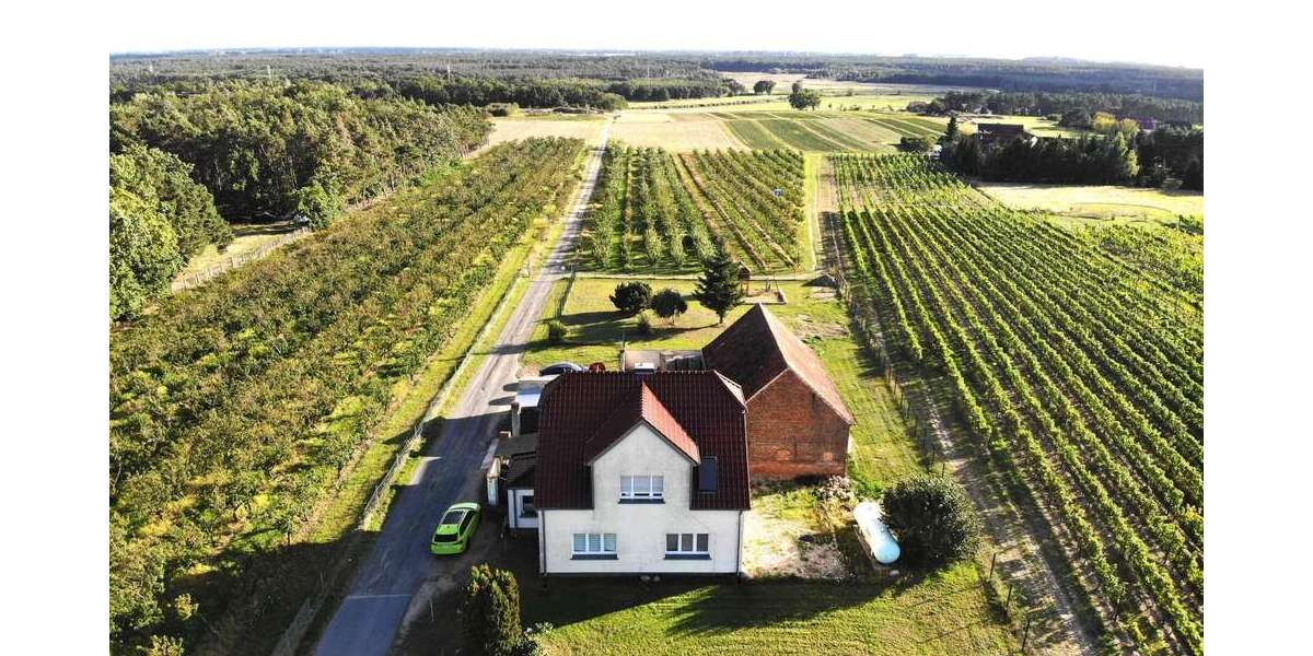 Einfamilienhaus Jessen (Elster) - 5 Zimmer, 129 m&sup2;, 379.000&euro; | Angebot:24904879