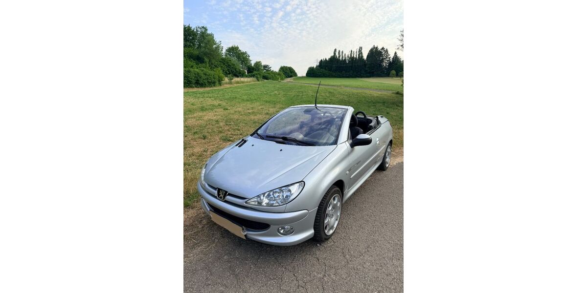 Peugeot 206 174.200 km 2.950 &euro; Thaleischweiler-Fröschen 66987