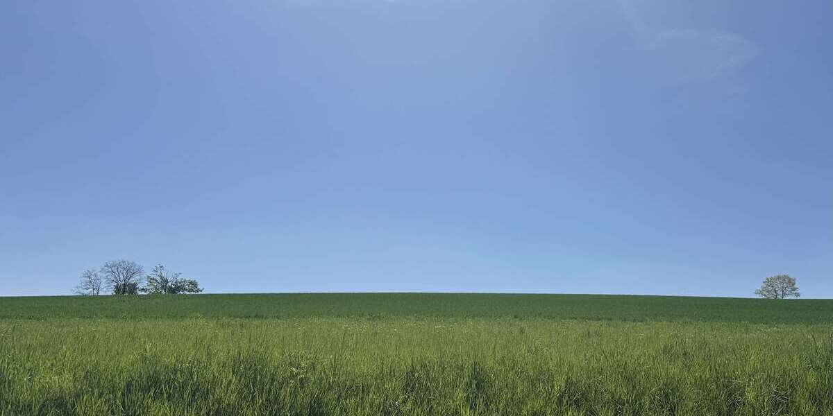 Grundstück Lautertal - 75.000&euro; | Angebot:20713829