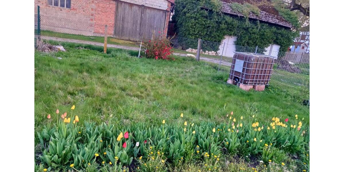 Grundstück Blankenhain - 5.300&euro; | Angebot:20269682