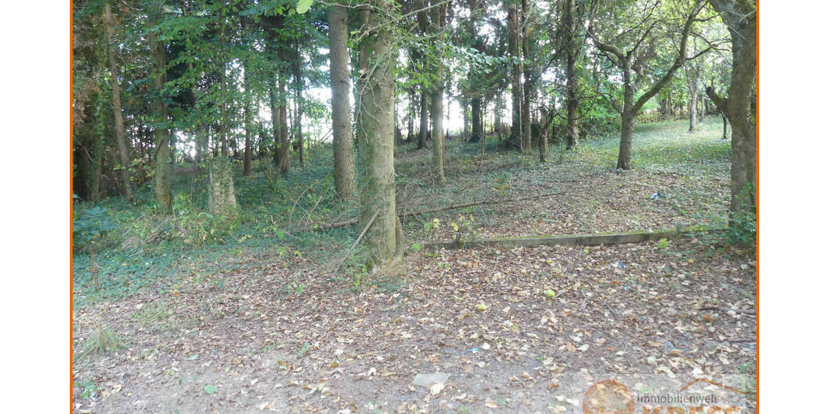 Grundstück Steinau an der Straße Ulmbach - 76.000&euro; | Angebot:25704510