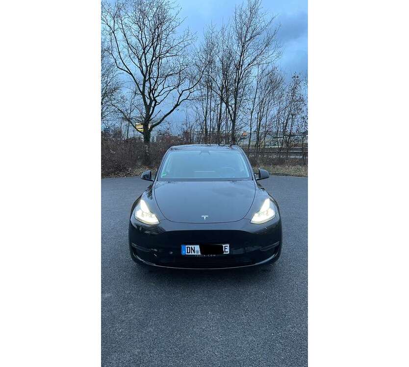 Model Y