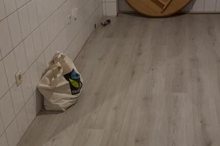 Wohnung zu vermieten in Ickern
