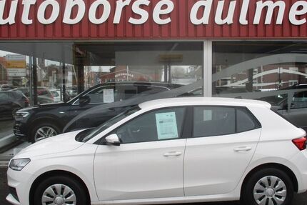 Skoda Fabia 113.651 km 11.999 &euro; Dülmen 48249