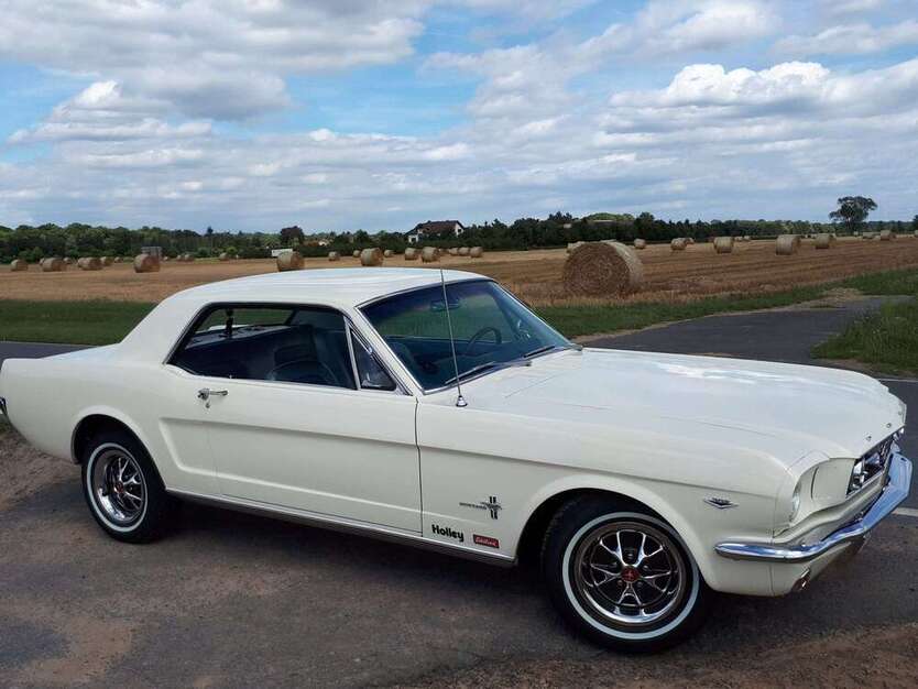Mustang