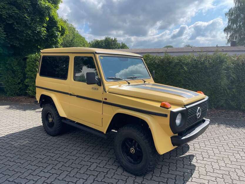 G 300