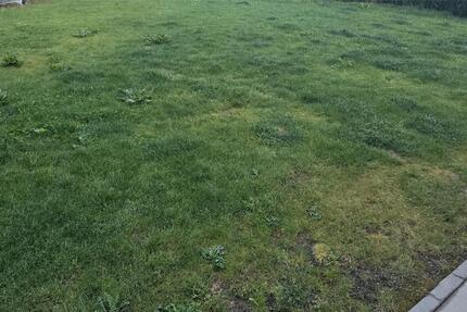 Wohnung Zweiflingen - 3 Zimmer, 100 m&sup2;, 1.100&euro; | Angebot:26634484