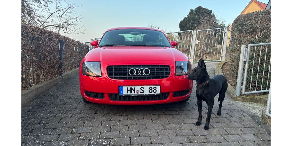 Audi TT 90.000 km 14.999 &euro; Salzhemmendorf 31020